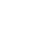 100+ Projects